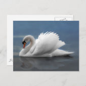 Swan Briefkaart (Voorkant / Achterkant)