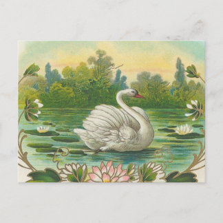 Swan Briefkaart