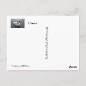 Swan Briefkaart (Achterkant)