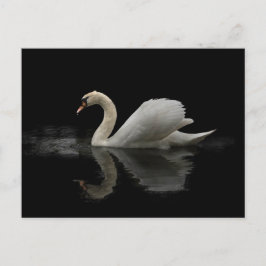 Swan Briefkaart