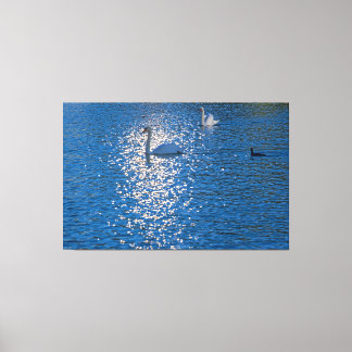 Swan Canvas Afdruk