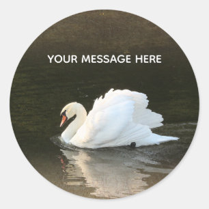 Swan Classic Round Sticker