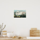 Swan commun américain par Audubon Poster (Cuisine)