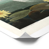 Swan commun américain par Audubon Poster (Coin)
