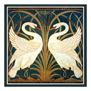 Swan en Rush en Iris Foto Afdruk