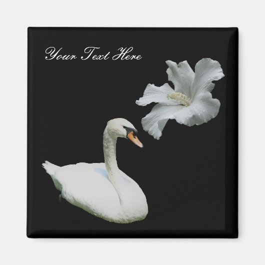 Swan en White Hibiscus Flower Magnet Magneet (Voorkant)