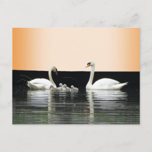 Swan Family Cust. BG-kleurenDIY-Briefkaart Briefkaart