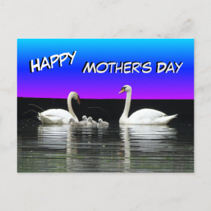 Swan Family Happy Moederdag Briefkaart