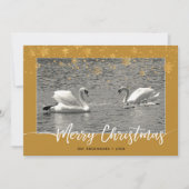 Swan Family Merry-kerstkaart (Voorkant)