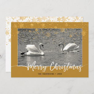 Swan Family Merry-kerstkaart
