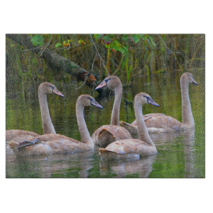 Swan Glass Cutting Board Snijplank