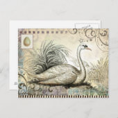 Swan Graphic Briefkaart (Voorkant / Achterkant)