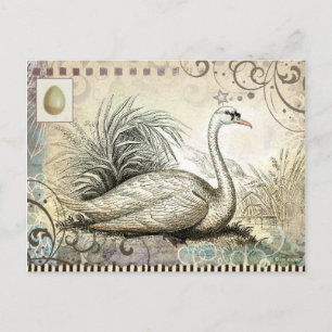 Swan Graphic Briefkaart