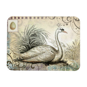 Swan Graphic Magneet
