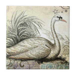 Swan Graphic Tegeltje