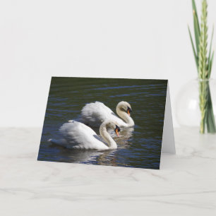Swan Greetings Card Kaart