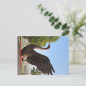 Swan in Flight Lakeland, Florida Briefkaart (Staand voorkant)