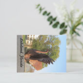 Swan in Flight Statue Lakeland, Florida Briefkaart (Staand voorkant)