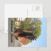 Swan in Flight Statue Lakeland, Florida Briefkaart (Voorkant / Achterkant)