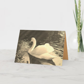 Swan in Sepia  Bedankkaart