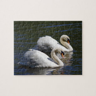 Swan Jigzaag Puzzle Legpuzzel