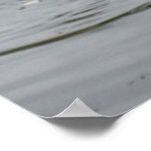 Swan Lake - Afdrukken Poster (Hoek)