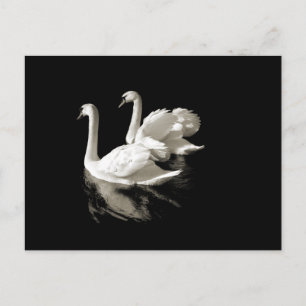 Swan Lake briefkaart