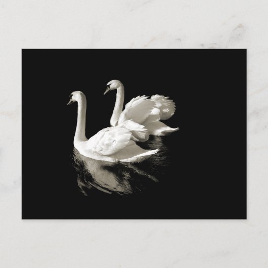 Swan Lake briefkaart (Voorkant)