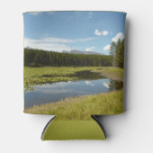 Swan Lake I in Grand Teton National Park Blikjeskoeler