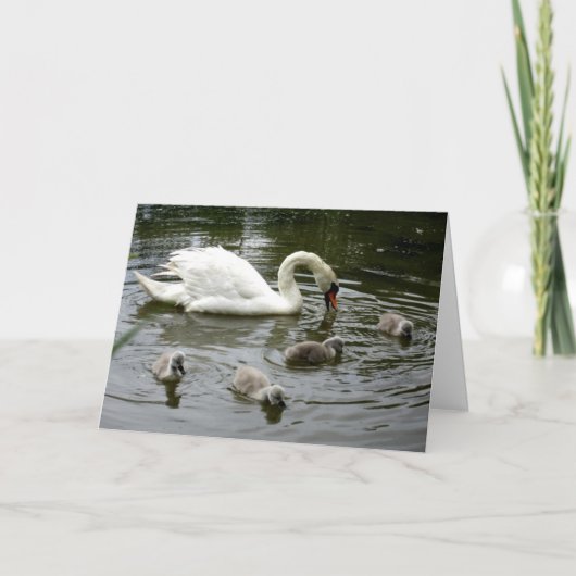 Swan Lake Kaart (Voorkant)