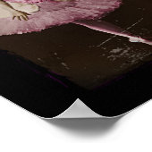  Swan Lake Poster (Hoek)