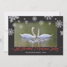 Swan Let Heaven & Natuur Sing