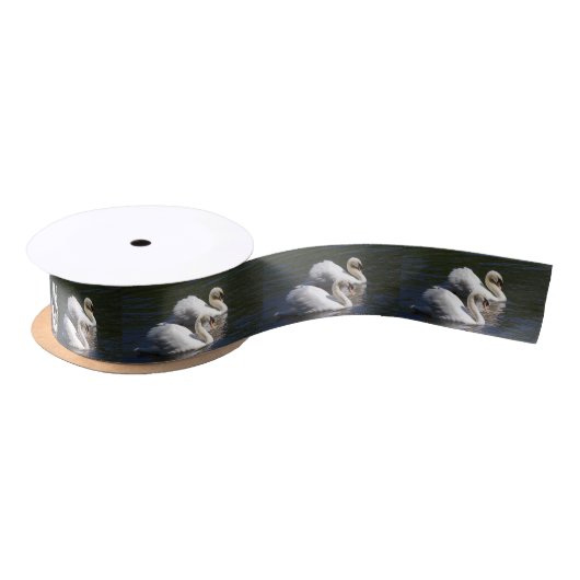 Swan Lint (Spoel)