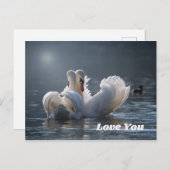 Swan-Love- Briefkaart (Voorkant / Achterkant)