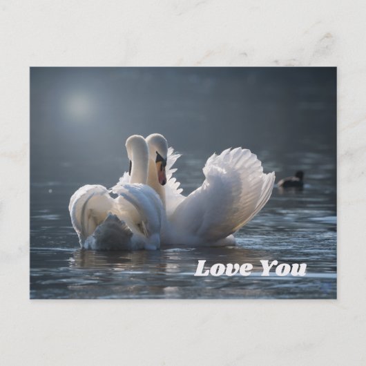Swan-Love- Briefkaart (Voorkant)