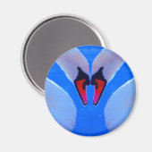 Swan Love, Romantic Heart Shaped Necks Magneet (Voorkant / Achterkant)