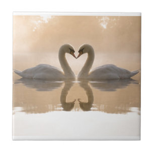 Swan Love Tegeltje