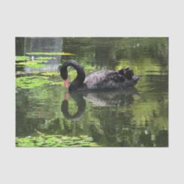 Swan Love Tissuepapier