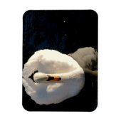 Swan Magneet (Verticaal)