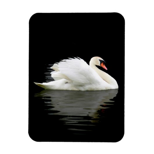 Swan Magneet (Verticaal)