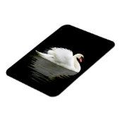 Swan Magneet (Linkerzijde)