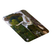 Swan-meer Magneet (Rechterzijde)