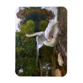 Swan-meer Magneet (Verticaal)