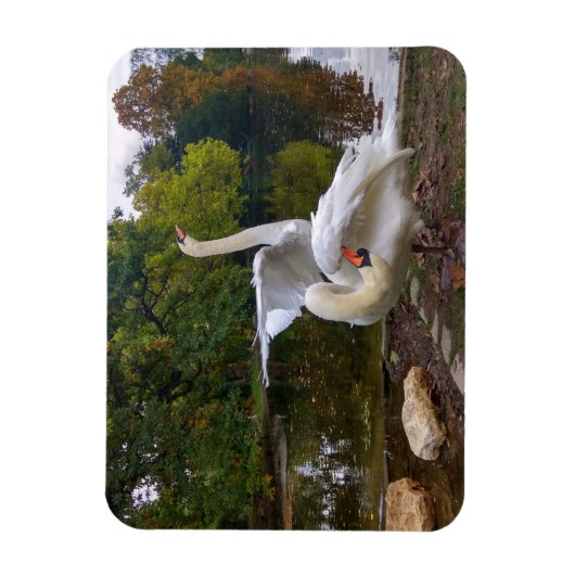 Swan-meer Magneet (Verticaal)