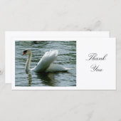 Swan - Merci (Devant / Derrière)