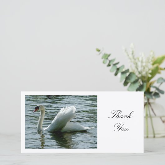 Swan - Merci (Debout devant)