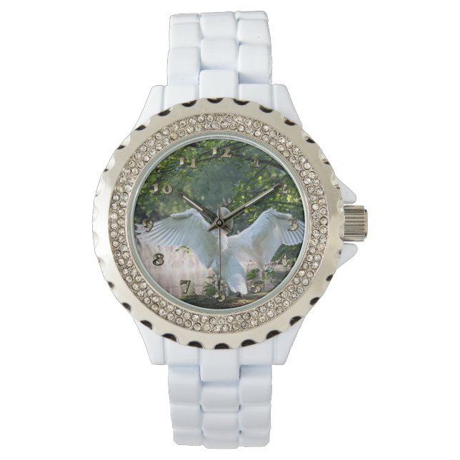 Swan met Wings Spread Horloge (Voorkant)