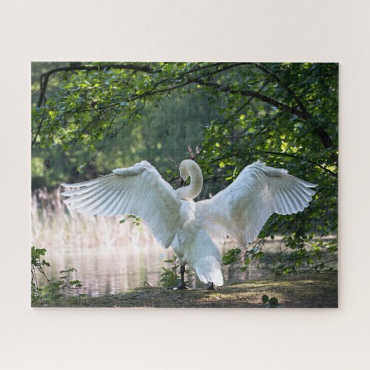 Swan met Wings Spread Legpuzzel (Horizontaal)