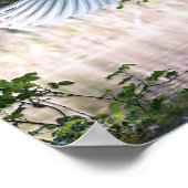 Swan met Wings Spread Poster (Hoek)