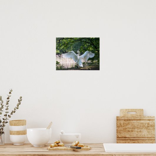 Swan met Wings Spread Poster (Keuken)